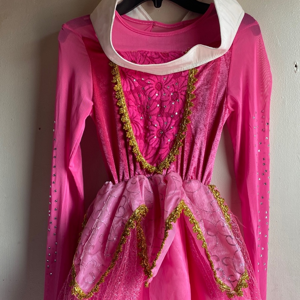 Princess Aurora dress size 10/12